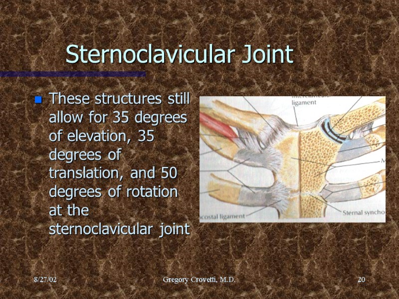 8/27/02 Gregory Crovetti, M.D. 20 Sternoclavicular Joint These structures still allow for 35 degrees